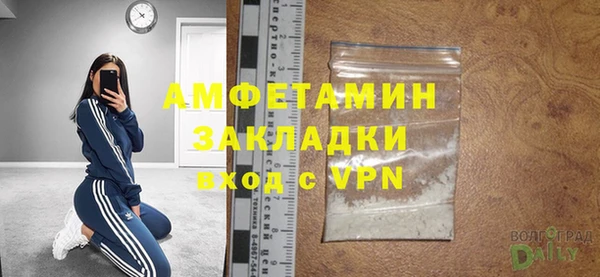 стафф Алзамай