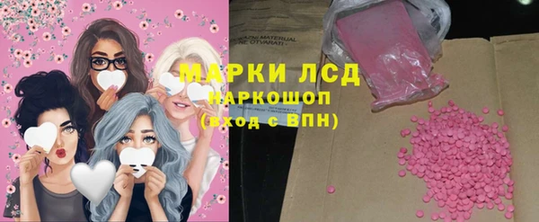 прущие грибы Нягань